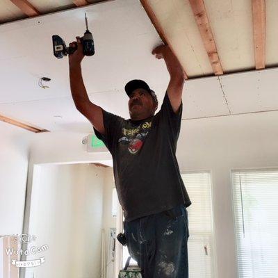 Complete Ceiling tile demo and drywall