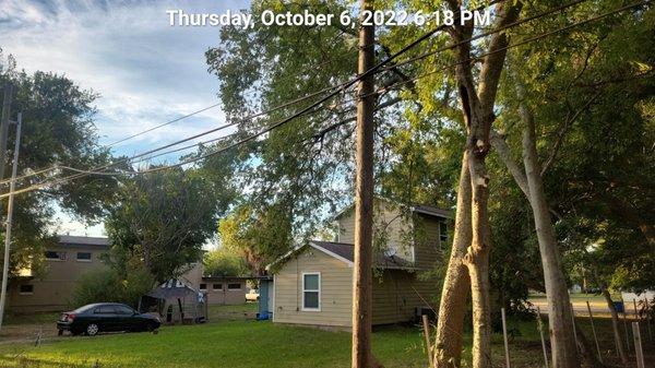 This is showing how he removed the limbs from the power lines. He worked with the electric company to do this.