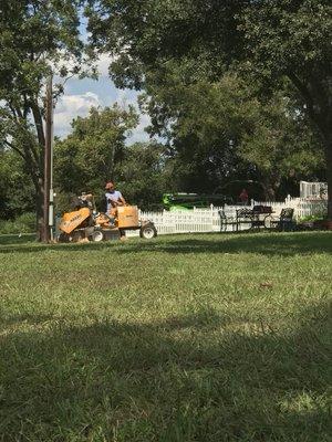 Wall Tree Service