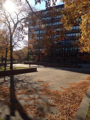 Roberto Clemente community Academy great for walking through, sitting out in, and many other things