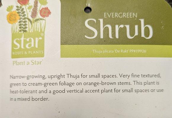 Purchased 18 tall trees. 6 were small shrubs. Who is lying Mr. Meadows? Rude!