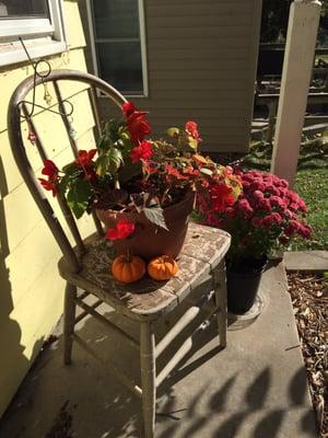 I bought this chair at the ReStore, and now it's a planter!