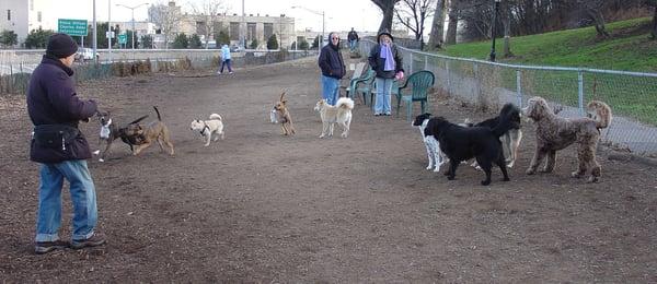 Owls Head Park Dog Run (2006)