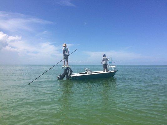 Push poling the flats looking for cruising tarpon.