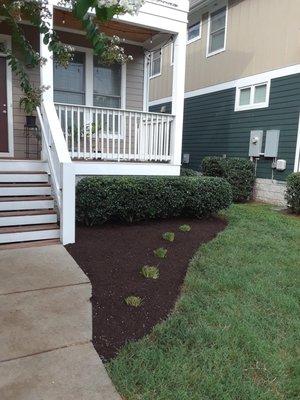 Made mulch bed and planted