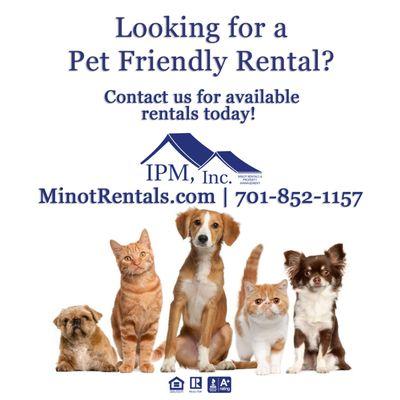 Looking for a Pet Friendly* rental in the Minot area? Check out our available pet friendly rentals on our website link: minotrentals.com