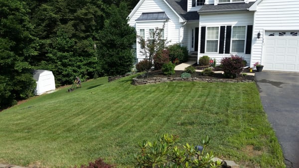 Laying down the lines. Lawn mowing & lawn care services. 7578052054