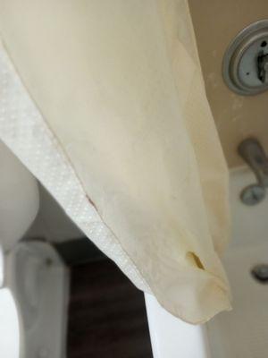 Mold on shower curtain