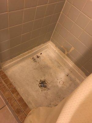 Shower floor in this dump