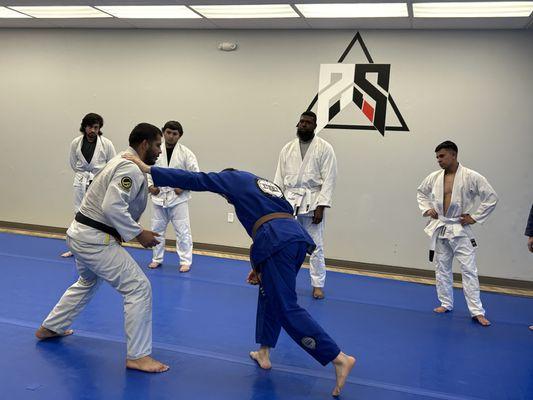 Brazilian Jiu jitsu class