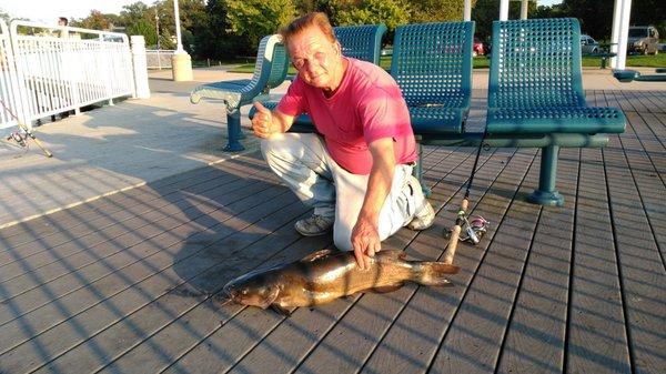 Kollen Park is popular with fishermen fishing for catfish, carp and sheepshead.