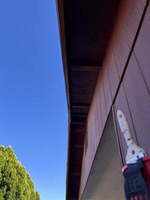 East side of house roof Soffit