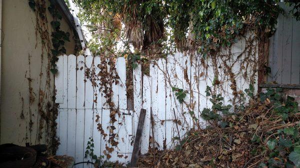 Before: my old fence, about to fall apart