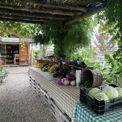 Shed with amendments and vine-shaded farm stand