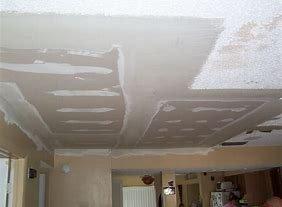 Ceiling Repairs