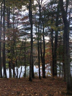 Lake view from the trail