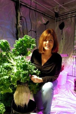 Hydroponic kale is easy to grow, let us show you how.