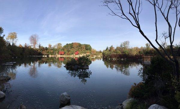 Japanese garden