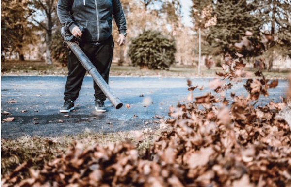 Fall Leaves Clean Up