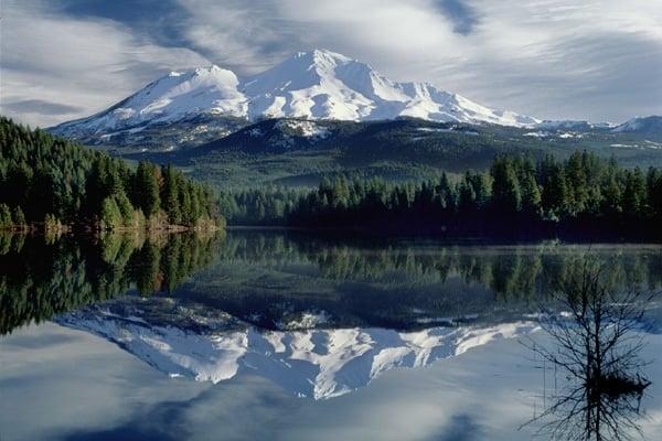 majestic Mount Shasta