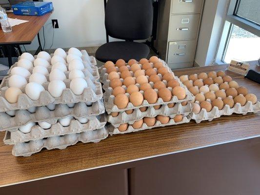 Fresh chicken farm eggs available.