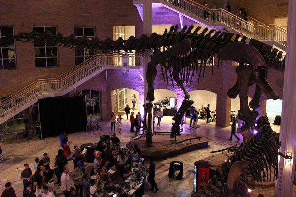 Fernbank After Dark