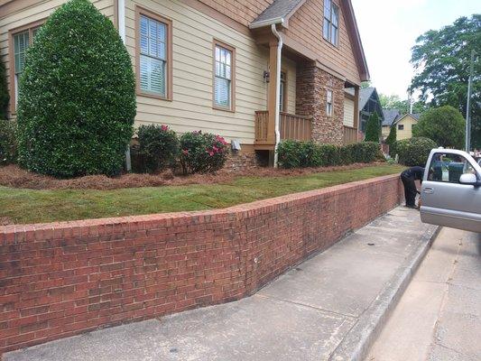 Sod and pinestraw installation