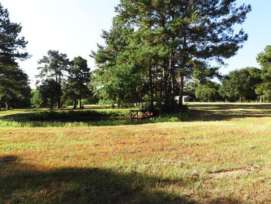 Sunny meadow on wooded property for sale near the Sam Houston National Forest.