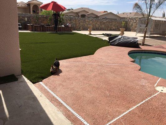 Clean turf and free of bad odors!