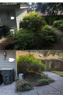 Front walk, before and after