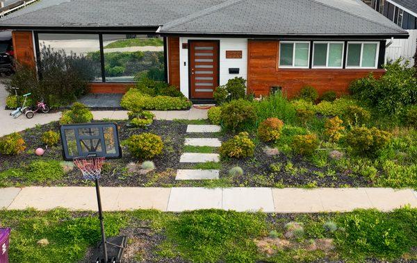 Long Beach front yard with the succulent jungle we removed in no time.  Avilis Street