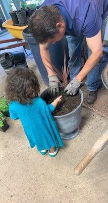 Letting my daughter help put together the Mother's Day arrangement gift for my grandmother