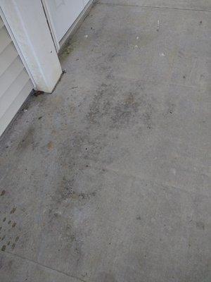 Surface Cleaner concrete driveway before