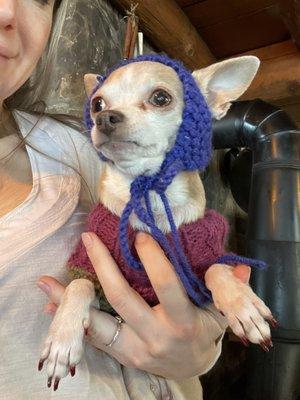 Gramma knit her a hat