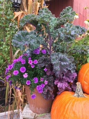 We create stunning planters for all seasons. We love this next to an assortment of pumpkins