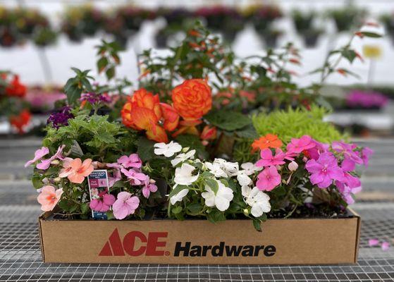 Newly expanded Garden Center opens in spring!