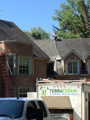 A roof wash instantly brightens this gorgeous home.