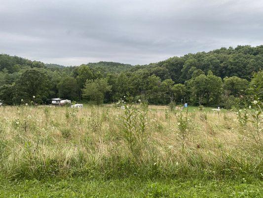 view of the campground from the camp road