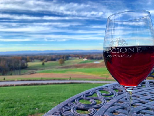 A perfect view to enjoy with a perfect wine!