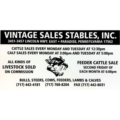 Livestock cattle auction