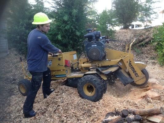 Stump Grinding