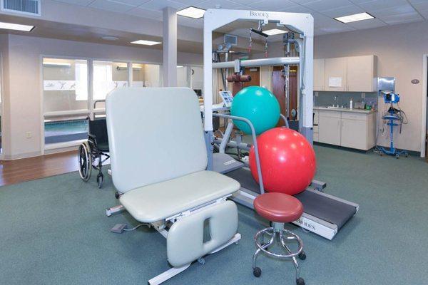 Physical therapy treatments are performed by our in-house physical therapist or physical therapy assistant.