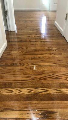 Newly refinished hardwood flooring.