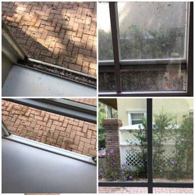 Before and After / Residential Window Cleaning