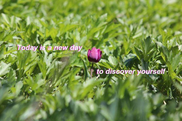 Today is a new day to discover yourself!