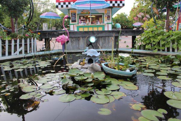 Say hello to our fish friends in the front water garden!