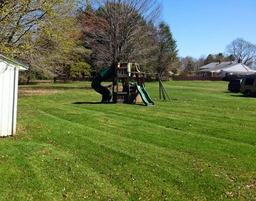 lawn striping