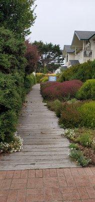 Walkway to salon