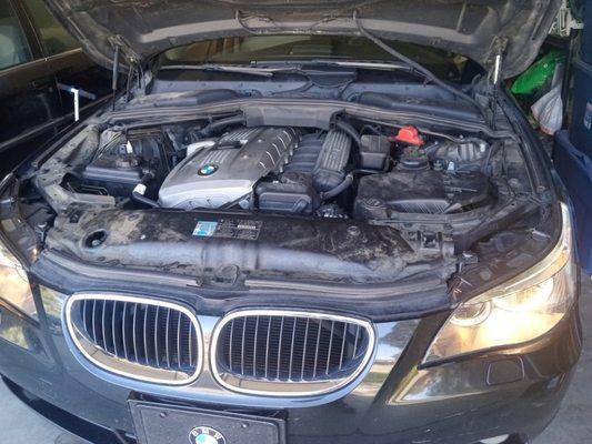 2006 Bmw alternator replacement available.