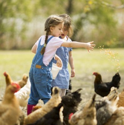 1870 Farm is a care farm and hosts a summer camp where kids learn about caring for animals and farm responsibility!